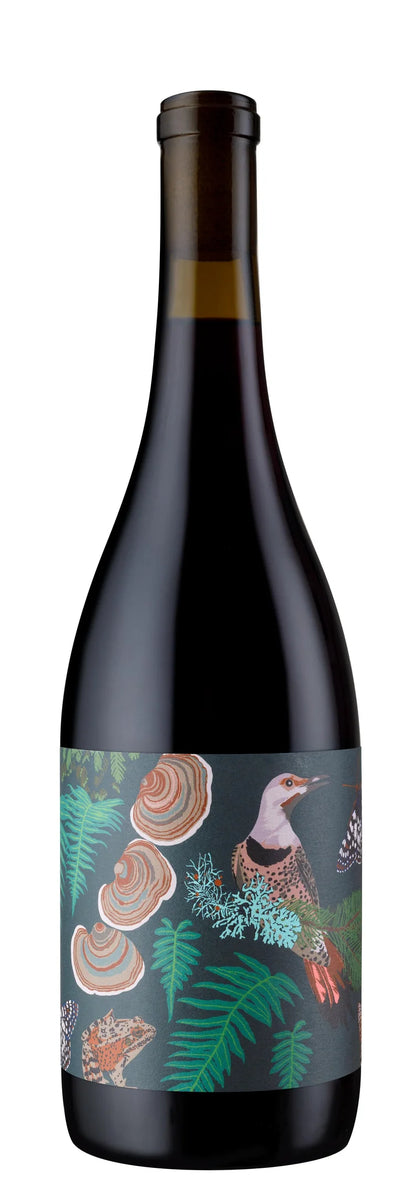 2024 Anne Amie Vineyards Pinot Noir, Willamette Valley, USA (750ml