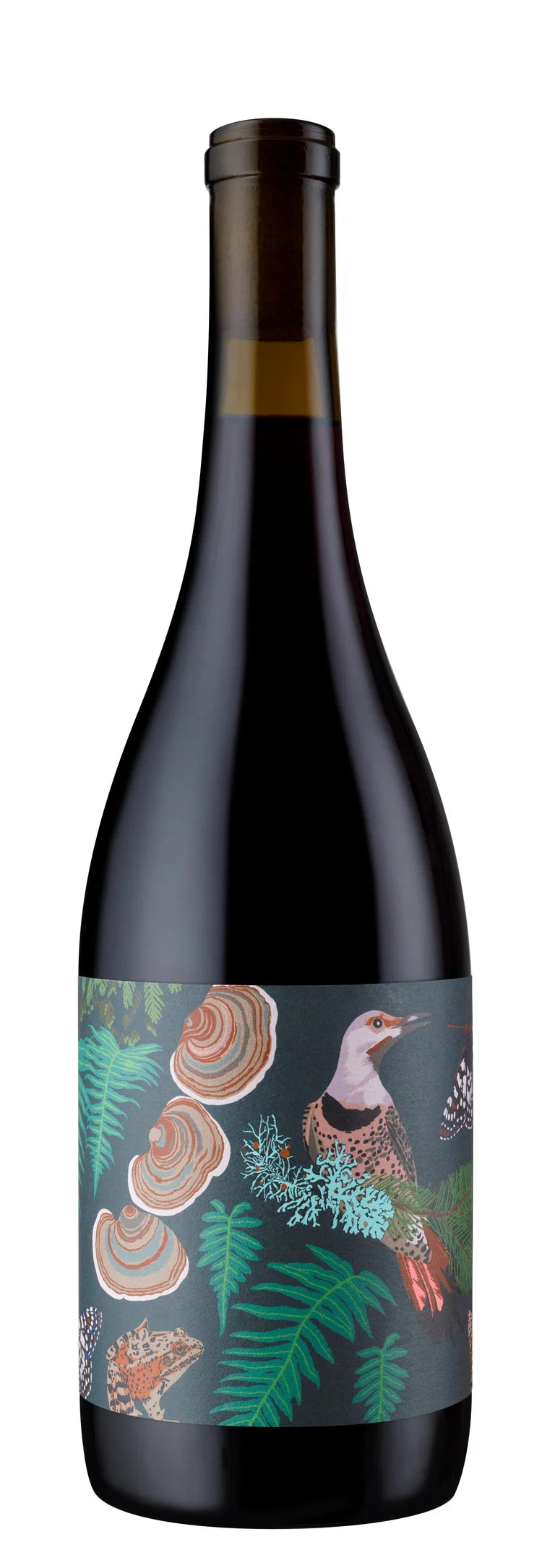 2024 Anne Amie Vineyards Pinot Noir, Willamette Valley, USA (750ml