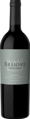 2020 Vina Cobos Bramare Lujan de Cuyo Malbec, Lujan de Cuyo, Argentina (750ml)