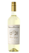 2022 Villa Puccini Pinot Grigio Veneto IGT, Italy (750ml)