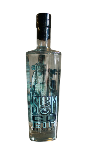 Steam & Co. Gin, Michigan (750ml)
