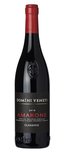 2019 Fattori Amarone della Valpolicella DOCG, Veneto, Italy (750ml)