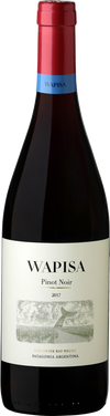 2021 Wapisa Pinot Noir, Rio Negro, Argentina (750ml)