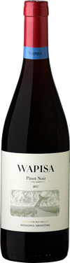 2022 Wapisa Pinot Noir, Rio Negro, Argentina (750ml)
