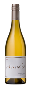 2023 Acrobat Pinot Gris, Oregon, USA (750ml)