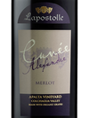 2019 Casa Lapostolle Cuvee Alexandre Merlot, Apalta, Chile (750ml)